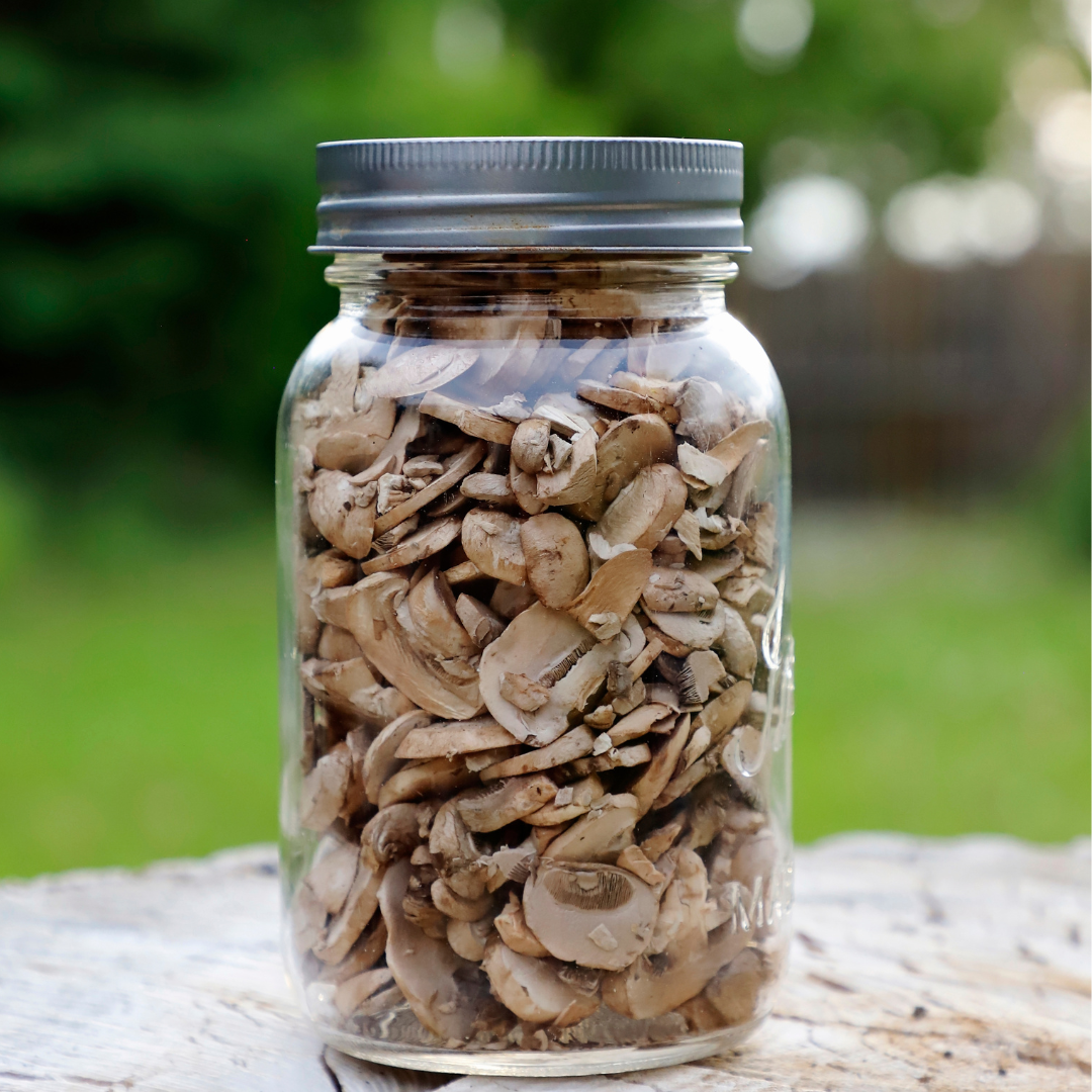 Sliced Mushrooms - Freeze Dried